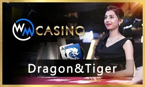 Casino table games like blackjack and roulette
